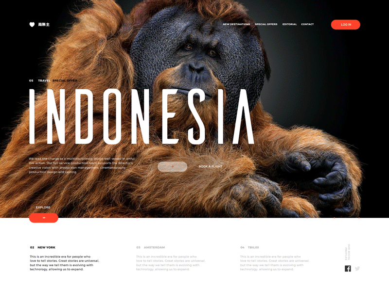 Crafting a Visual Identity for a Newly Launched IT  ...